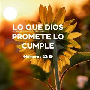 Meet your Posher, Johana